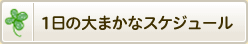 1日の大まかなスケジュール