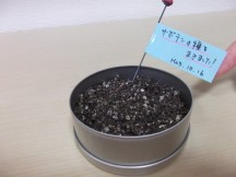 DSCF2857